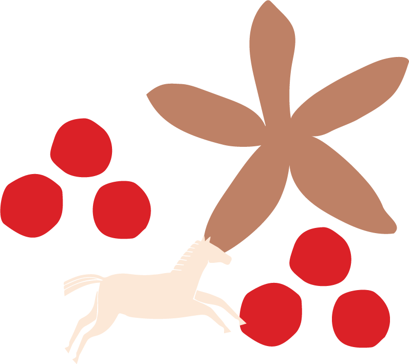 Queira Agroecologia Café