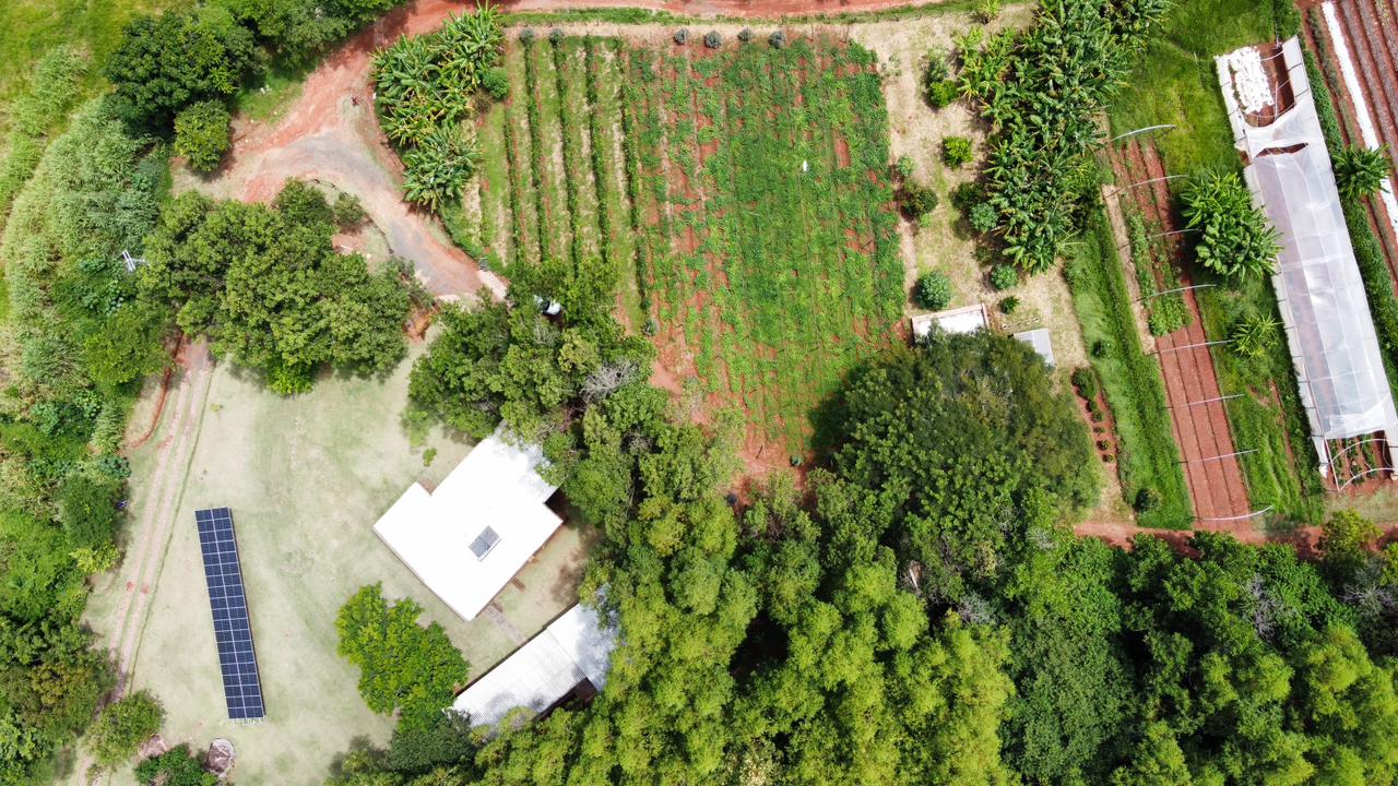 Queira Agroecologia Fotos