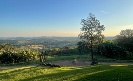 Queira Agroecologia Fotos