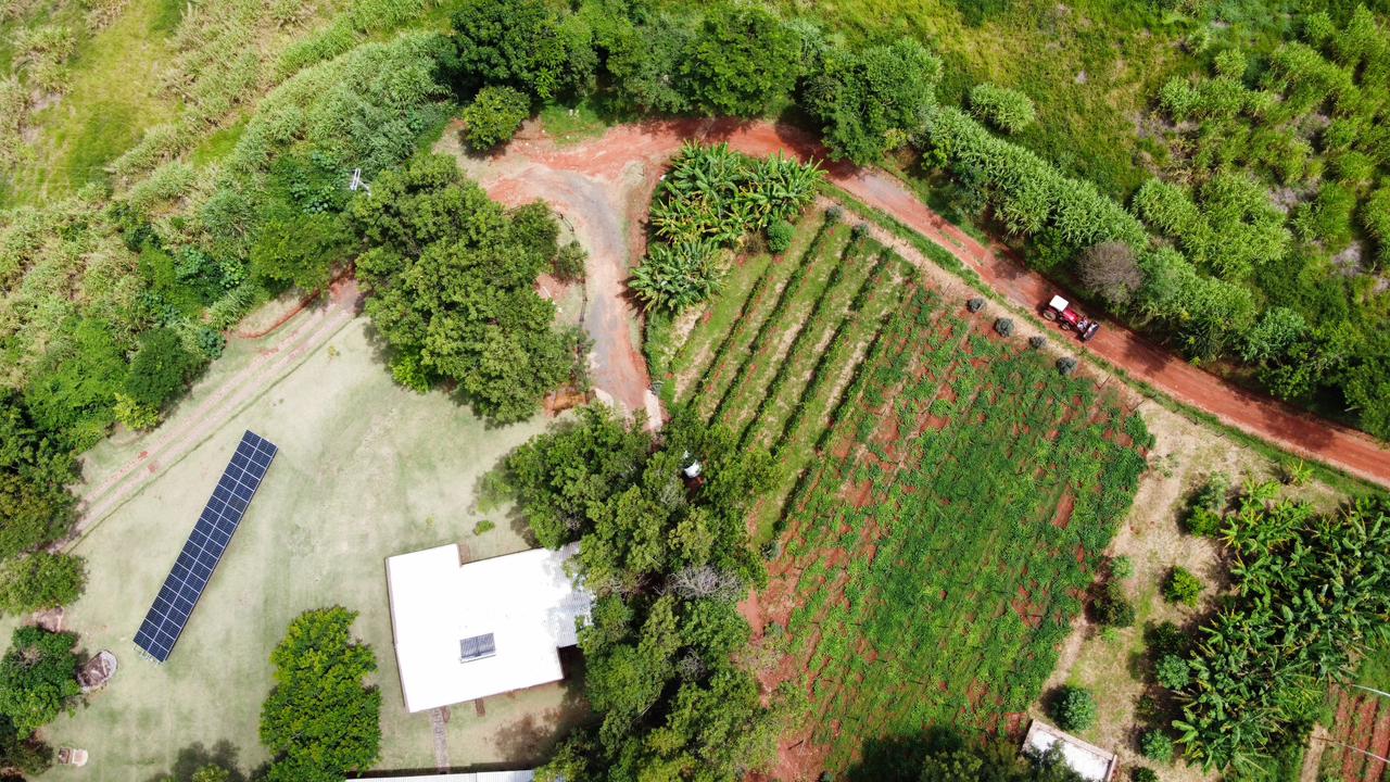 Queira Agroecologia Fotos