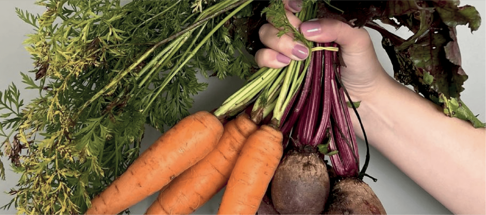 Queira Agroecologia Banner